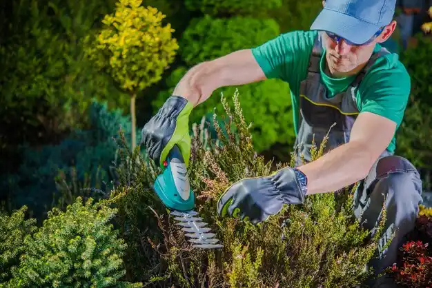 landscaping services Three Rivers